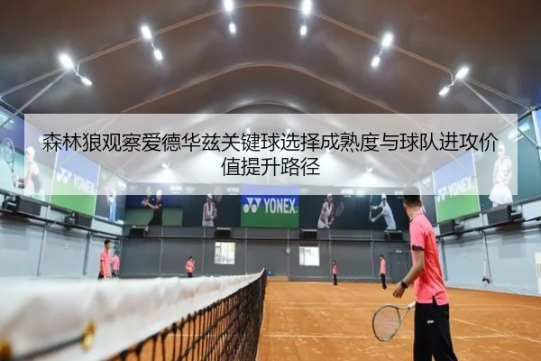 森林狼观察爱德华兹关键球选择成熟度与球队进攻价值提升路径