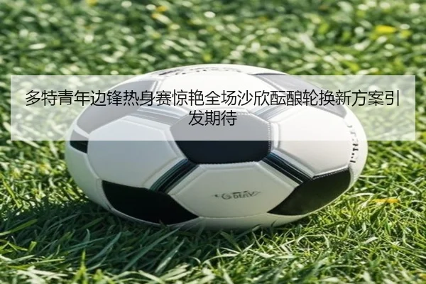 多特青年边锋热身赛惊艳全场沙欣酝酿轮换新方案引发期待